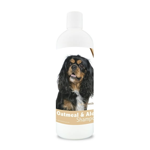 Healthy Breeds Cavalier King Charles Spaniel Oatmeal Dog Shampoo with Aloe 16 oz