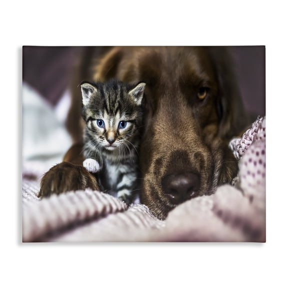 Stupell Industries Eclectic Kitten & Dog Snuggling Canvas Art, 20 x 16, by Natalie Grosse