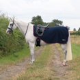 thumbnail image 2 of Hy DefenceX System Cool Control Horse Exercise Sheet, 2 of 4