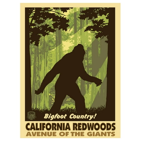 - California Redwood Avenue of the Giants Big Foot Shadow Travel Art Print Poster by Paul A. Lanquist (9