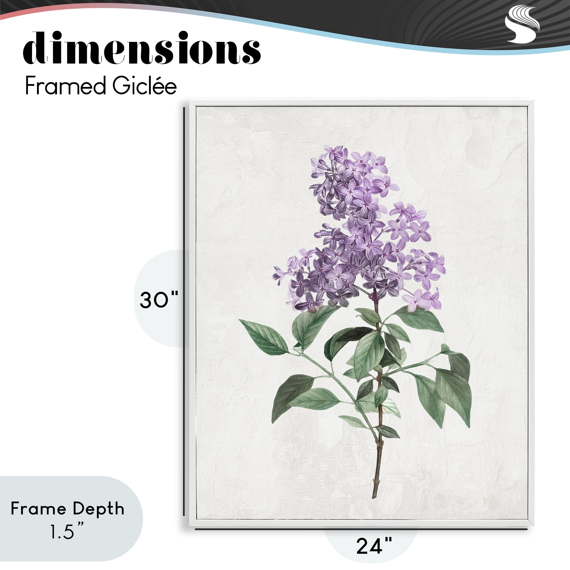 Stupell Industries Lilac Herb Blossoms White Framed Giclee Art, design by Kim Allen