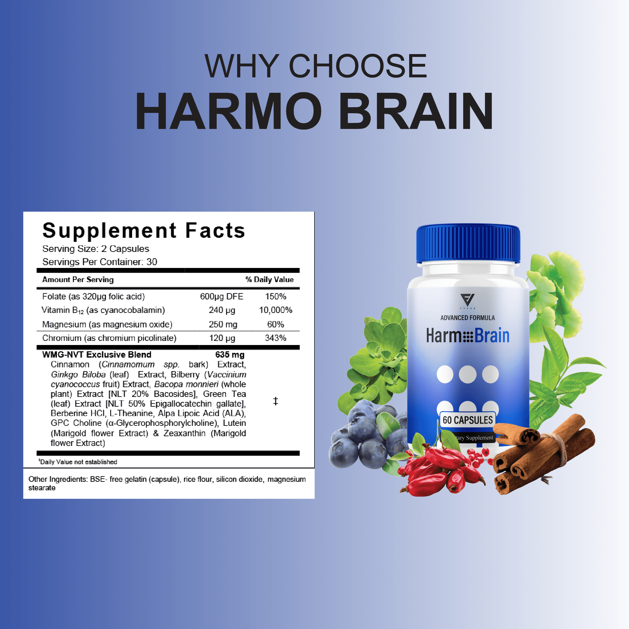 (3 Pack) Harmo Brain Focus Supplement, HarmoBrain Pills Support (180 Capsules)