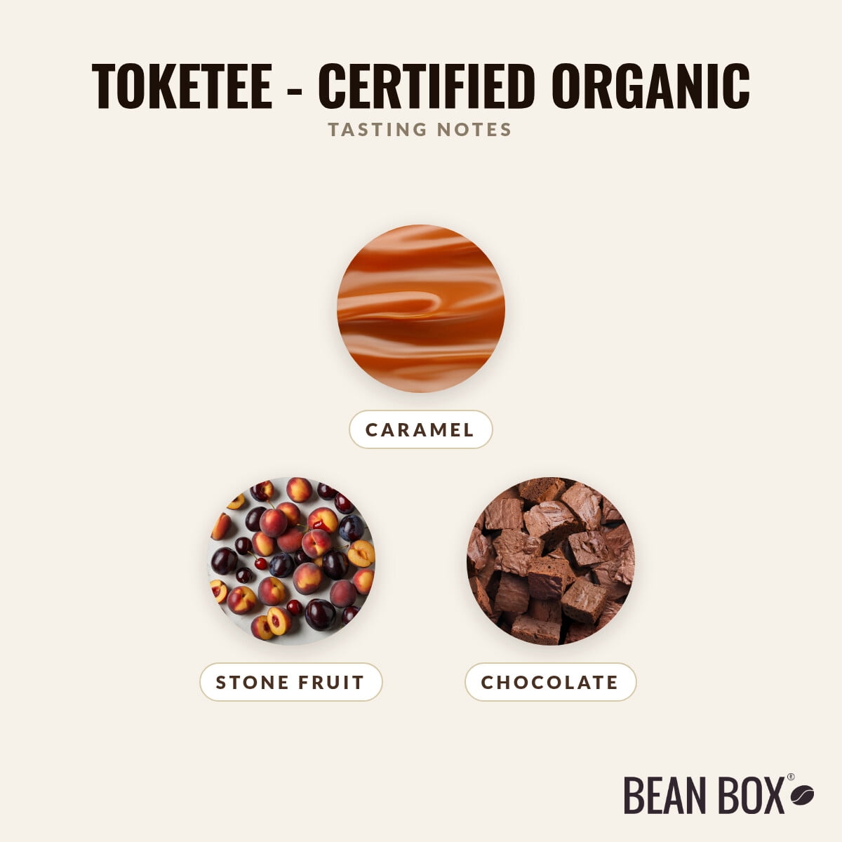 Toketee - Certified Organic - Roasted by Sightglass Coffee - Whole Bean Coffee - 12oz Bag