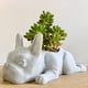 thumbnail image 4 of Maceta de resina con forma de perro para suculentas | Mini maceta con forma de perrito para suculentas y hierbas | Decoración para el hogar y la oficina | Blanco, 4 of 5
