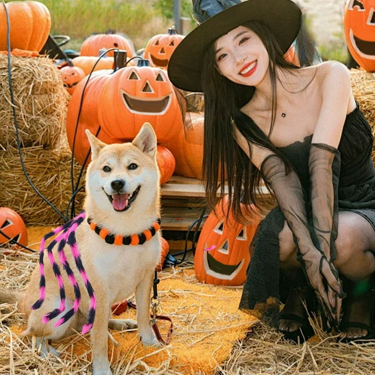 Pcs Halloween Spider Costume for Dog Cat, Halloween Pet Costume