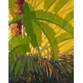 thumbnail image 2 of Charles, J 12x14 White Modern Wood Framed Museum Art Print Titled - Sunshine Tropics 2, 2 of 4