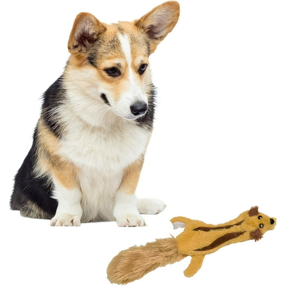SPOT Skinneeez Flying Squirrel Dog Toy, No Stuffing Dog Toy with Dual Squeakers, for Medium & Large Dogs, for Light & Moderate Chewers, 14in