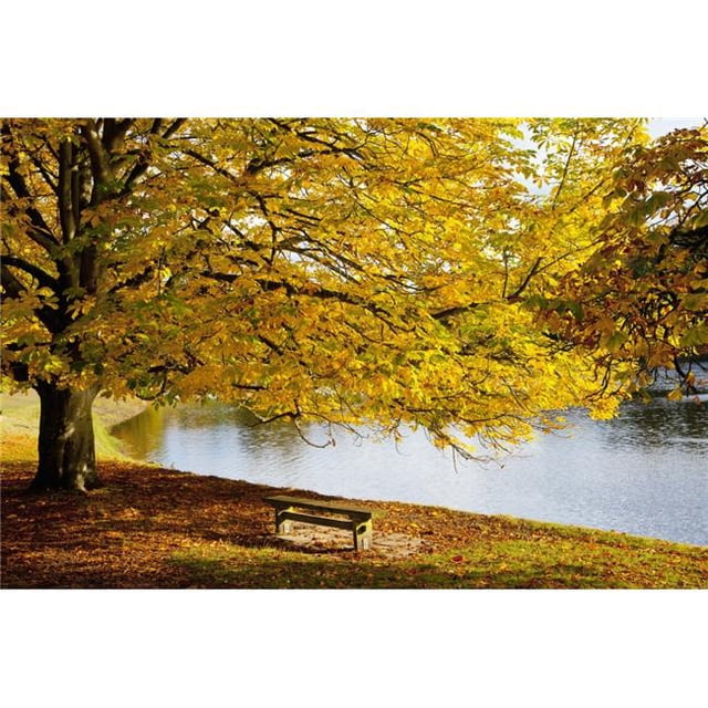 Posterazzi DPI1890811 A Large Tree & Bench Along The Water In Autumn - North Yorkshire, England Poster Print, 19 x 12