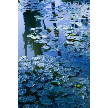 Villa Pond Jardin Majorelle and Museum of Islamic Art Marrakech Morocco Canvas Art - Walter Bibikow DanitaDelimont (23 x 34)