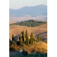 thumbnail image 2 of Eggers, Julie 17x24 Black Ornate Wood Framed with Double Matting Museum Art Print Titled - Italy-Tuscany Belvedere House-Olive trees-and vineyards near San Quirico dOrcia, 2 of 4