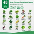 thumbnail image 3 of Organo Republic - 40 Vegetable Seeds Varieties - 26,000+ Non GMO Heirloom Garden Seeds For Planting, 3 of 7