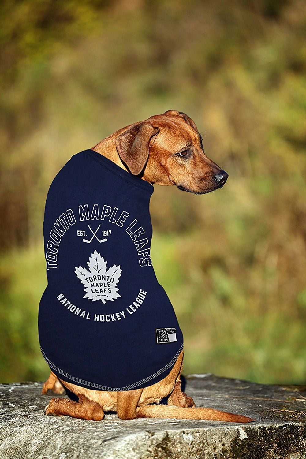 dallas stars pet jersey