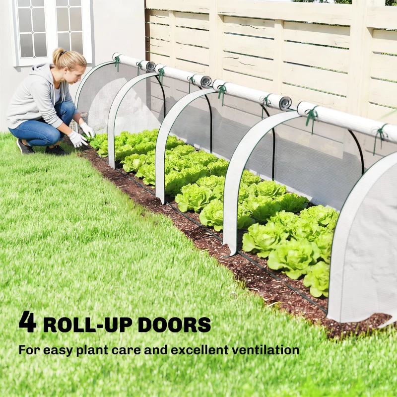 Portable Wide Mini Greenhouse