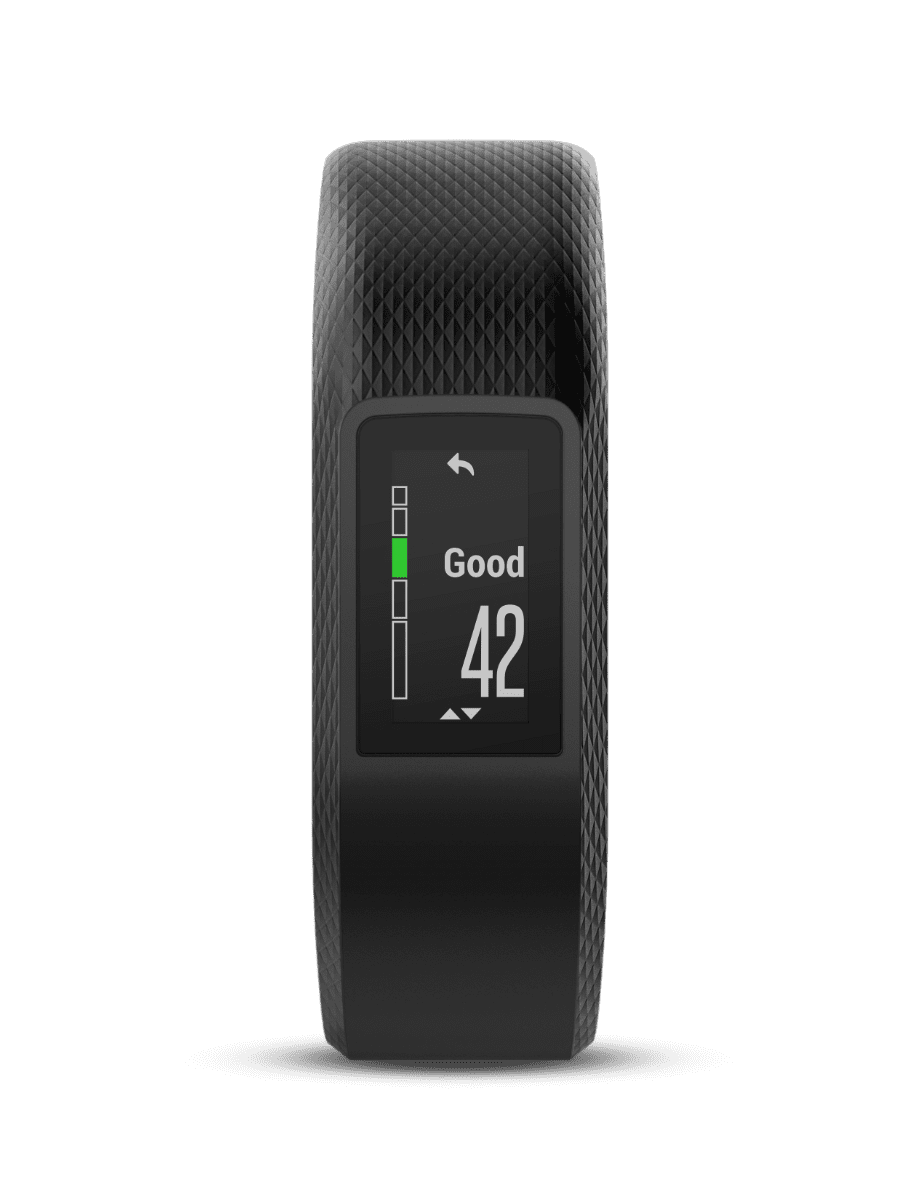 vivosport 2019