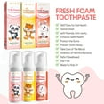 thumbnail image 4 of Aliver 3 Pack Boys Girls Foam Toothpaste Fruit Flavor, Mild Foaming Low Fluoride Toothpaste Mouthwash for Little Smiles, 4 of 10