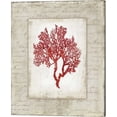 thumbnail image 2 of Red Coral II Border by Aimee Wilson, Canvas Wall Art, 16W x 20H, 2 of 2