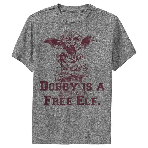 Boy's Harry Potter Dobby is a Free Elf Performance Graphic Tee Charcoal Heather Large