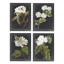 Stupell Industries Charming White Cottage Florals over Charcoal Grey Design by Vision Studio, 4 Piece, 11" x 14", Black Framed