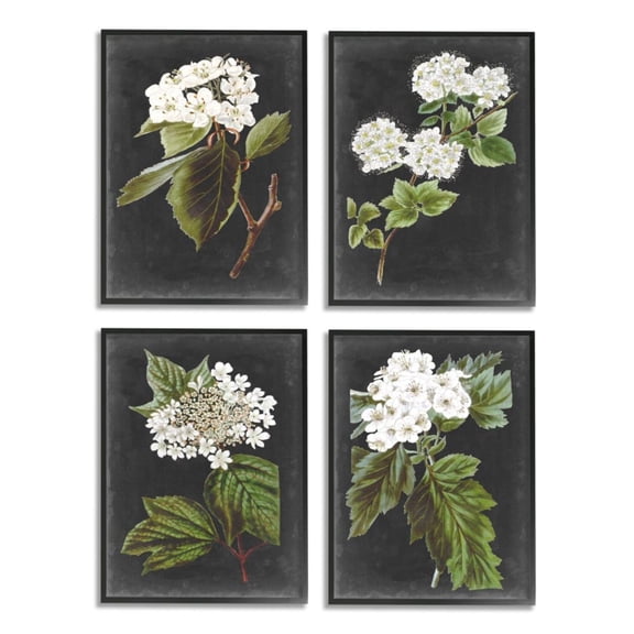 Stupell Industries Charming White Cottage Florals over Charcoal Grey Design by Vision Studio, 4 Piece, 11" x 14", Black Framed