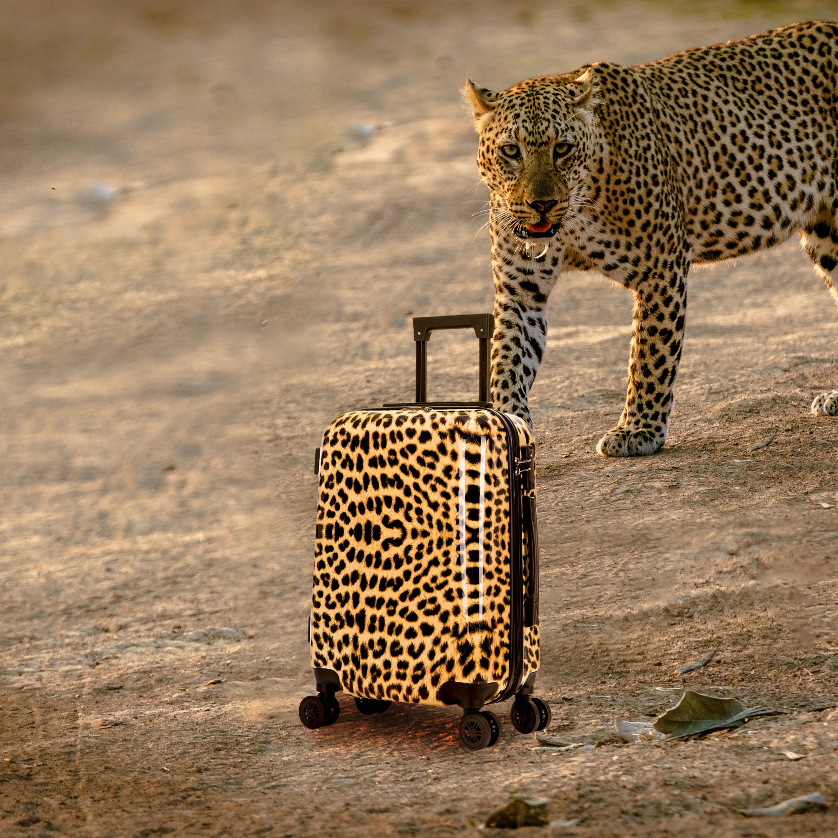 InUSA Print 20" Hardside Checked Luggage with Spinner Wheels, Handle and Trolley, Cheetah