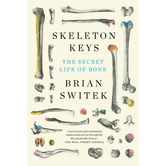 Skeleton Keys : The Secret Life of Bone (Paperback)