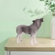 thumbnail image 5 of Simulación Wolf Figurines Zoo Miniatura Wolves Modelo PlaySet Coleccionables 3-8 , grito gris grito gris, 5 of 8
