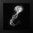 thumbnail image 2 of Bunjamin, Antonyus 12x12 Black Modern Framed Museum Art Print Titled - Jelly Fish Dance, 2 of 5