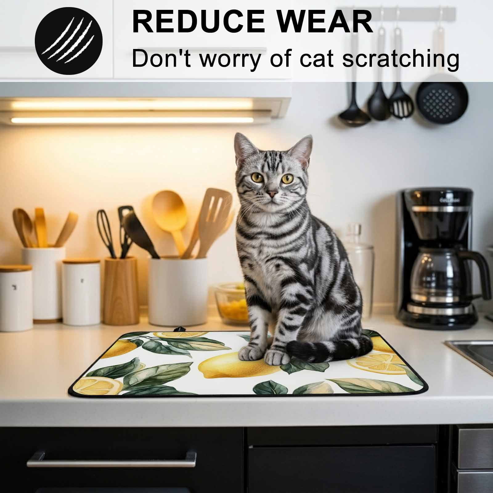 Lemon Stove Top Cover for Electric Stove, Heat-proof & Non Slip Glass Top Stove Cover Protector, Summer Yellow Fruit Country Spring Leaf Plant Kitchen Flat Cooktop Rubber Mat 24x21 Inches