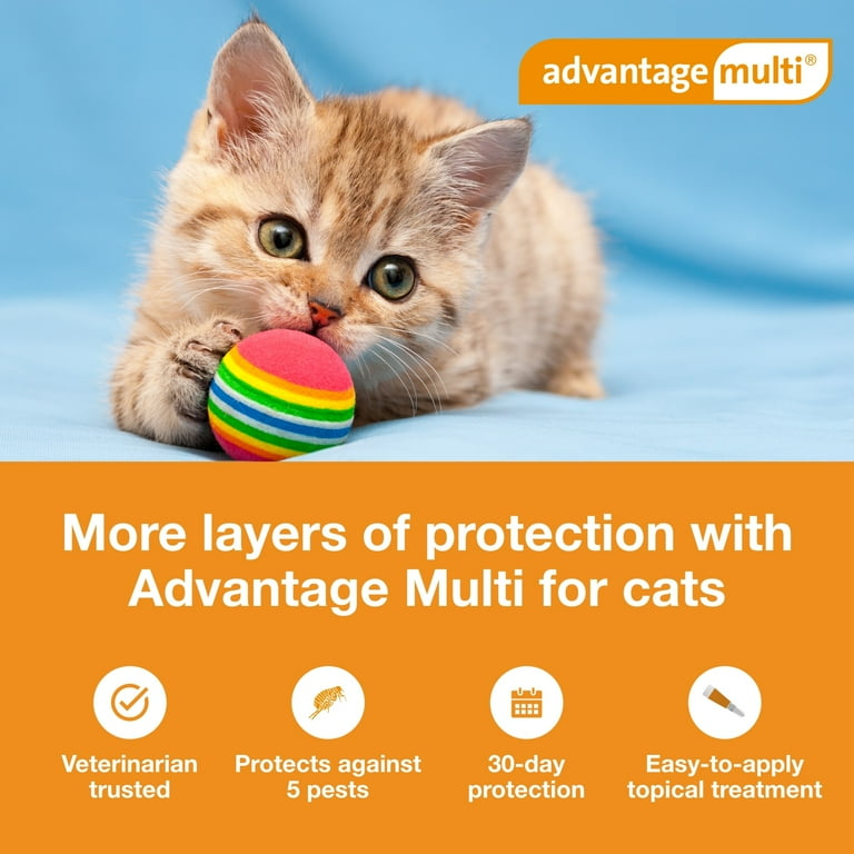 Advantage Multi Topical Solution for Cats 2 5 lbs Turquoise Box Walmart