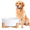 thumbnail image 1 of Cuenco para perros AHX de cerámica con soporte de madera antideslizante de 2,4 L de capacidad, 1 of 7