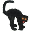 Halloween Scaredy Cat With Light Up Eyes, 12" x 12"