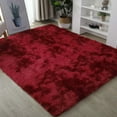 thumbnail image 2 of Tyidzon Rugs for Bedroom Fluffy Shaggy Soft Living Room Rug 24X63 Inch Indoor Modern Area Rug for Teen Dorm Room Home Decor, 2 of 4