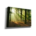 thumbnail image 2 of Epic Graffiti 'Rays of Light' Canvas Wall Art, 26"x18", 2 of 3