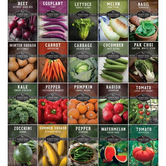 20 Pack Vegetable Starter Kit Seed Vault - Beginner Friendly Heirloom Full Sun Annual Seeds