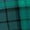 Rich Jade Plaid, variant on Woman Within Plus Size Flannel Tunic With Layered Look