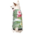 thumbnail image 1 of Balery Tropical Flamingo Sudadera con Capucha para Perros Pequeños – Ropa para Mascotas, Disfraz para Perros y Gatos, Ideal para Fiestas y Cosplay-X-Large, 1 of 7