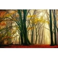 thumbnail image 2 of Van de Goor, Lars 32x23 Gold Ornate Wood Framed with Double Matting Museum Art Print Titled - In Love with Fall, 2 of 4