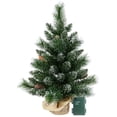 thumbnail image 2 of Mayhihi 2FT Pre-Lit Small Christmas Tree with Pine Cone, Pine Needles & PVC Branches, Burlap Base, 2 of 6