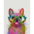 thumbnail image 2 of Fab Funky 12x14 Gold Ornate Wood Framed with Double Matting Museum Art Print Titled - Rainbow Splash French Bulldog, Portrait, 2 of 4