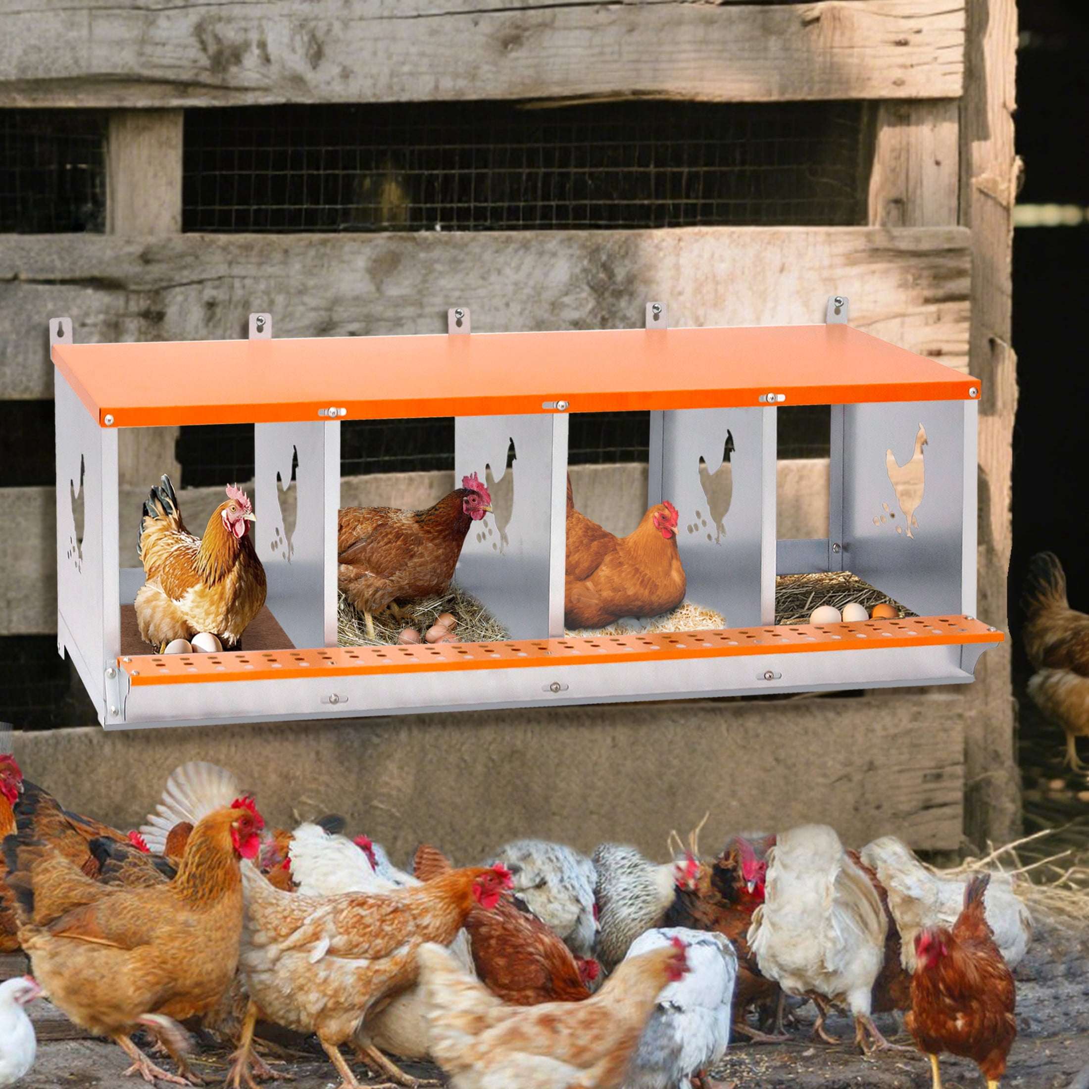 Noble House 4-Bay Wall-Mount Steel Nesting Box with Ventilation, Easy Egg Collection, for Chickens, Ducks, Orange