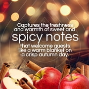 Air Wick Vibrant Plug-In Scented Oil Air Freshener Warmer Refills, Warm Apple and Cinnamon, 5 Count