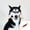 S, variant on Dog Chew Toy for Aggressive Chewers, Tough Big Nylon & Rubber Teething Stick Durable Dog Toy for Large Medium Breed