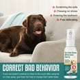 thumbnail image 5 of No Chew Spray for Dogs, Bitter Apple Spray for Dogs to Stop Chewing - All Natural & Non Toxic - Dog Deterrent Spray, 50ml, 5 of 8