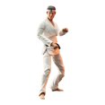thumbnail image 2 of Diamond Select - Cobra Kai - Series 1 Daniel LaRusso Deluxe Action Figure, Diamond Select, Gifts, 2 of 4