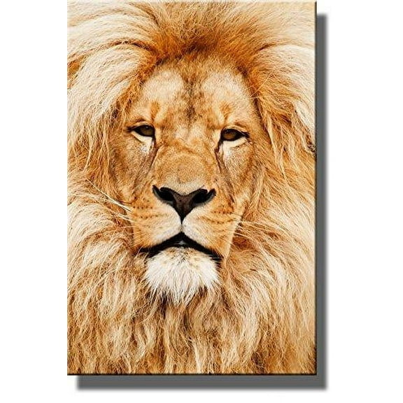 Head of African Lion Picture on Stretched Canvas, Wall Art Decor Ready to Hang!.