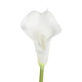thumbnail image 2 of Pure Garden Artificial Calla-Lily with Stems - Real Touch Fake Flowers for Home Decor, Wedding, Bridal/Baby Shower, More- 24 Pc Set (Pure White), 2 of 8