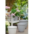 thumbnail image 3 of Pot de fleurs Mainstays Basic Bell 30 cm, gris, design classique avec soucoupe intégrée, résistant aux intempéries, finition mate., 3 of 4
