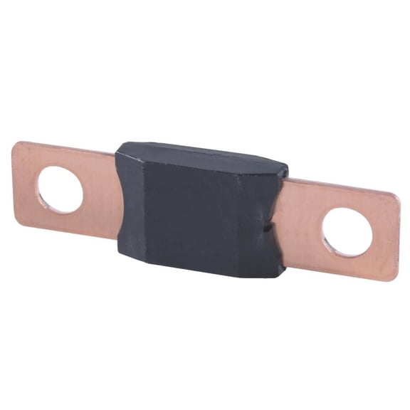 Bussmann AMG-100 Fuse