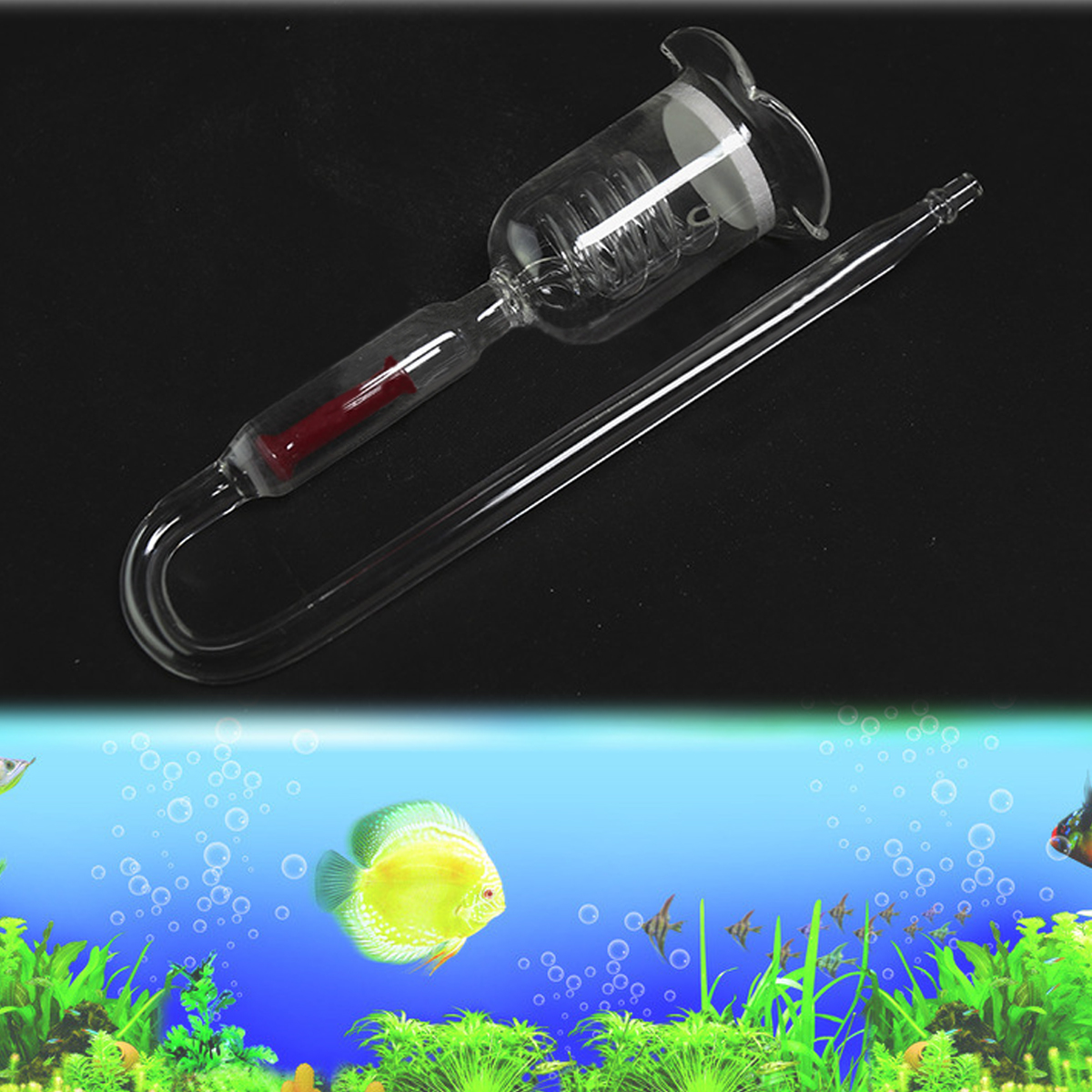 co2 supply for aquarium