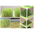 thumbnail image 2 of Sprouting Tray Holder Soil-free Planter Pot Hydroponic Container, 2 of 3